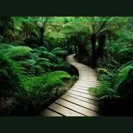 Super Flow Smooth Jazz & RnB