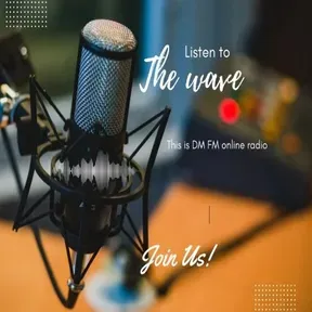 DM RADIO