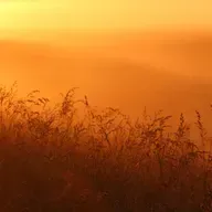 A LUZ DO ESPÍRITO