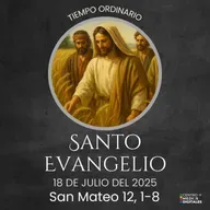 Evangelio del 18 de julio del 2025 según Mateo 12, 1-8