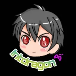 IntDragon