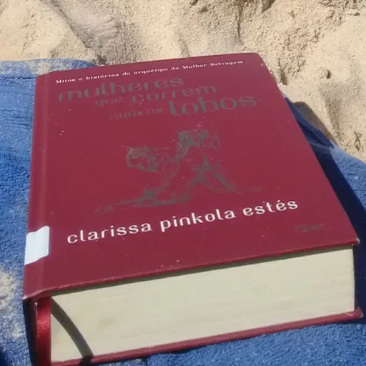 Mulheres que correm com os lobos | Clarissa Pínkola Estes- A fúria coletiva.