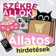 Termékeladás állatokkal vagy influenszerekkel?🐶📱 | Székre Állok Ortutay Dórival és Hajdu Steve-vel