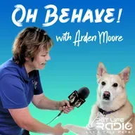 Oh Behave - Episode 562 Cindy Ojczyk on the Art of Balancing Being a Mom And Fostering Dogs and Cats