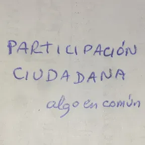 Ciudadana online