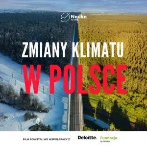 Jak wyglądają zmiany klimatu z polskiej perspektywy?
