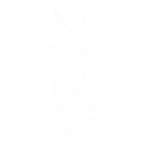 Studio Lince