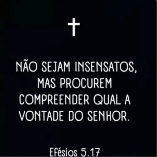 NÃO VOS TORNEIS INSENSATOS