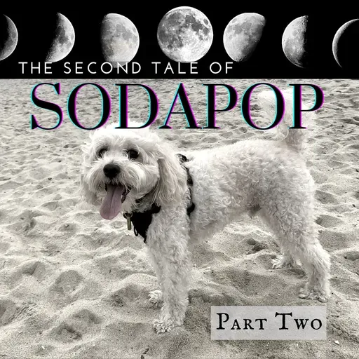 The Second Tale of Sodapop: Part 2