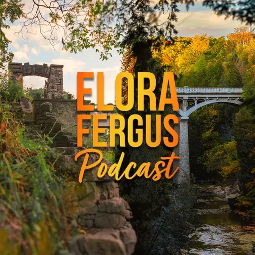 Elora & Fergus BIAs Light Up the Towns