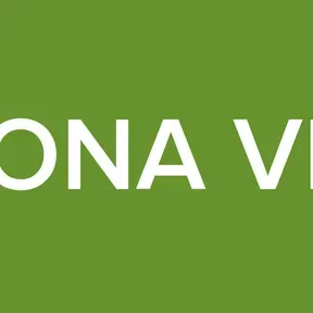 ZONA VIP