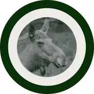 Summer Reading: Two Transcendent Poems About Public Transportation