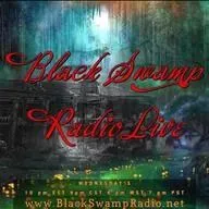 Black Swamp Digital Radio