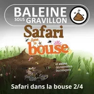 BEST OF D'ÉTÉ #10 Safari dans la bouse 2/4 : Le vrai nom des Mouche à m...