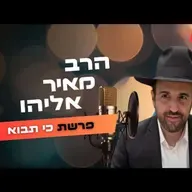 הרב מאיר אליהו • פרשת כי תבוא תשפ''ה | עלונימייל