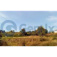 EN SAN PABLO DEL MONTE Y APIZACO, ENCUENTRAN LOS  RESTOS DE DOS HOMBRES