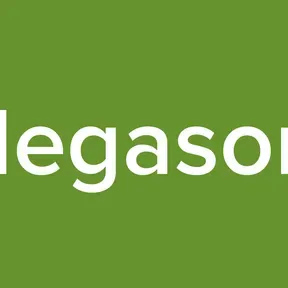 Megasom