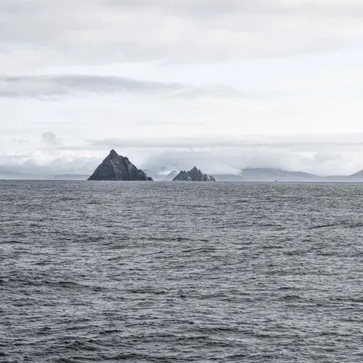 Žmogus niekada nesustoja. Rinktiniai Vilniaus universiteto studentų garso pasakojimai
