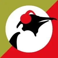 Pinguin Grooves