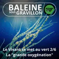 S07E74 Et le Vivant se mit au vert 2/6 : La "grande oxygénation" de la Terre