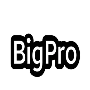 BigPro