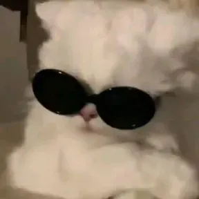 Rabzxy