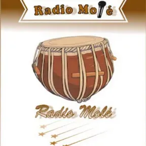 RADIO MOLLE
