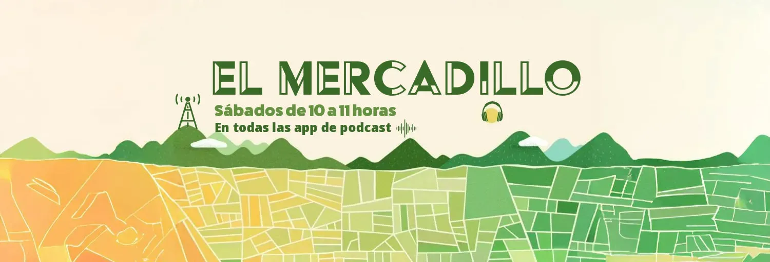 SinRadio.es