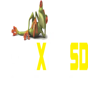 Conexao SD -FM