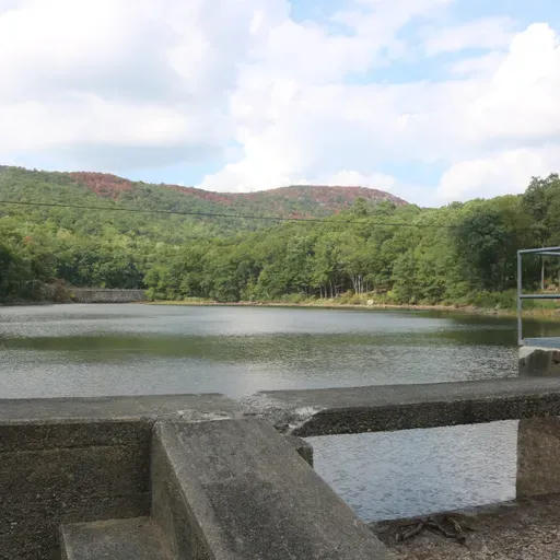 Cold Spring Declares Water Emergency
In other business …