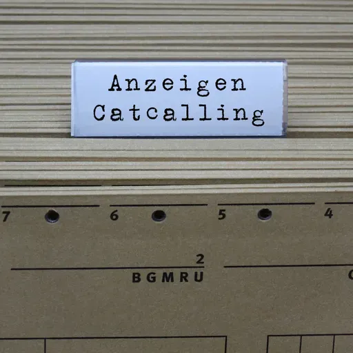 Sollte Catcalling strafbar sein?