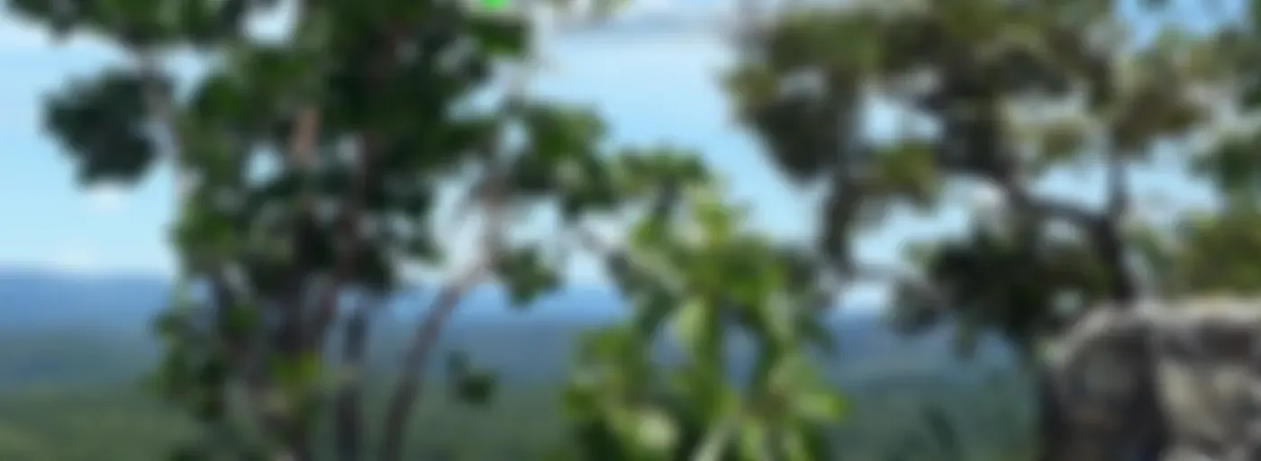 O Sítio