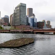 Floating wetlands bring back Boston's natural landscape lost to development