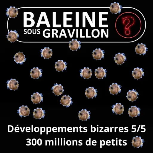 S07E130 Vous avez dit bizarre ? Développement 5/5 : Les 300 millions de petits du Poisson-lune