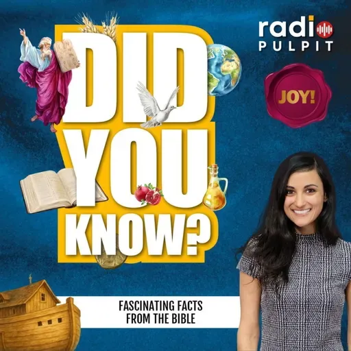 Joy Magazine - Did You Know #2