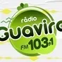 Radio Guavira FM