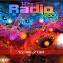 113.fm Hits 1985