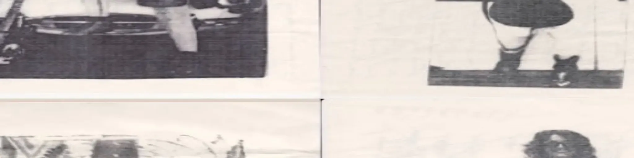 Hopes Lost In The Sunrise Elizabeth Vitale Radio