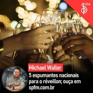 Michael Waller | 5 espumantes nacionais para o réveillon