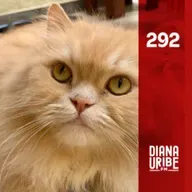 164. HISTORIA DE LOS GATOS - DIANA URIBE.FM
