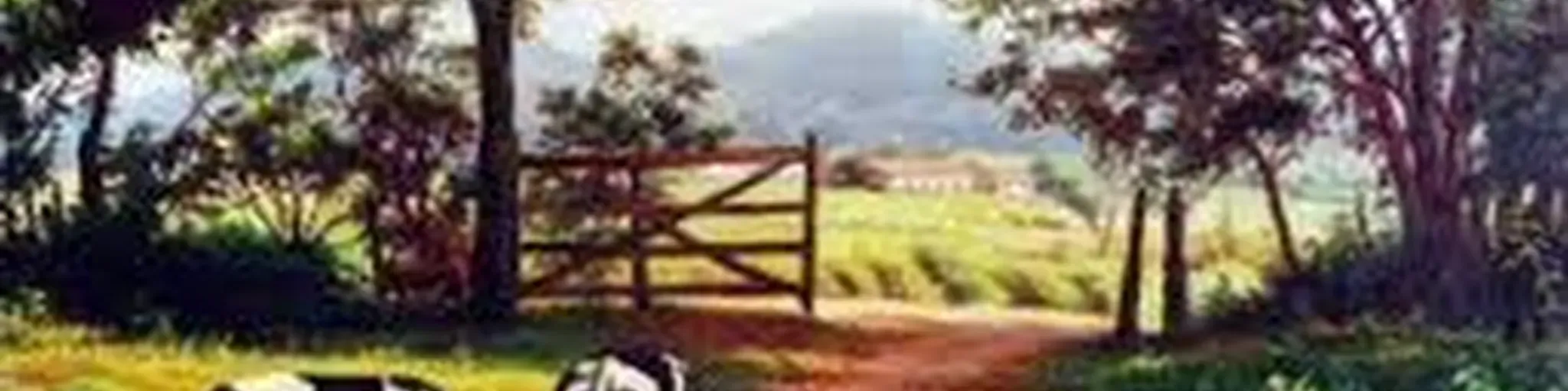 Radio Garoto Caipira