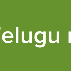 Telugu rr