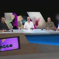 Epidemia de sacos, luxo envelhecido e um hacker super querido
