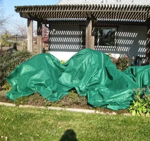 How to Protect Your Fruit Trees When a Frost or Freeze is Forecast