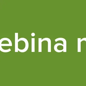 radio bebina mundial