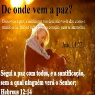 Viver em paz requer esforço


