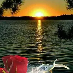 KA AKUPEGUA PARAGUAI