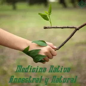 Medicina Nativa