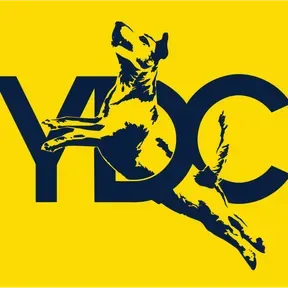 Yellow Dog Radio