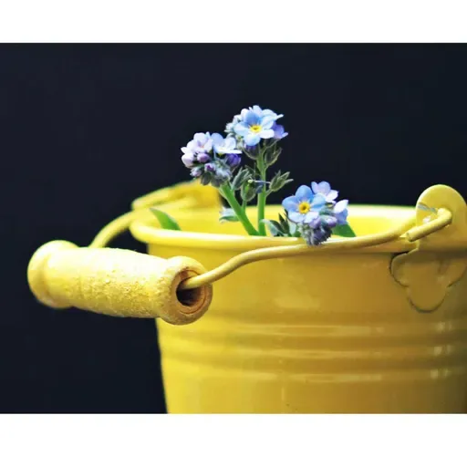 El olvido - Silvia Holgado Tello